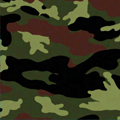 Classic Camo