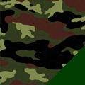 Classic Camo