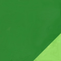 Green/Lime