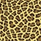 Leopard Spots