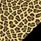 Leopard Spots