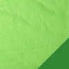 Green/Lime