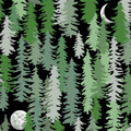 Midnight Forest
