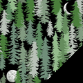 Midnight Forest
