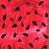 Watermelon Seeds