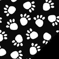 White Paws