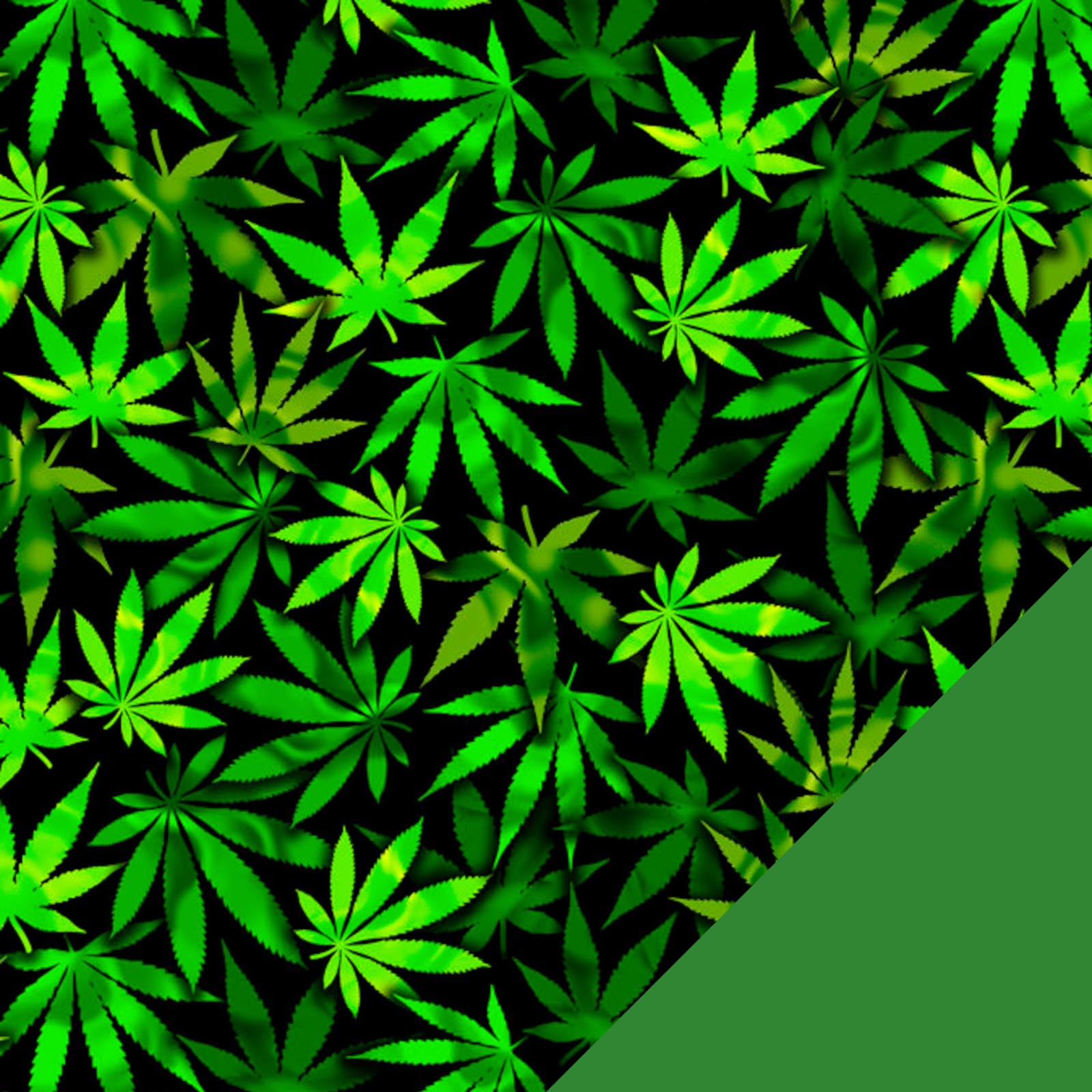 Cannabis Fleece Fabric