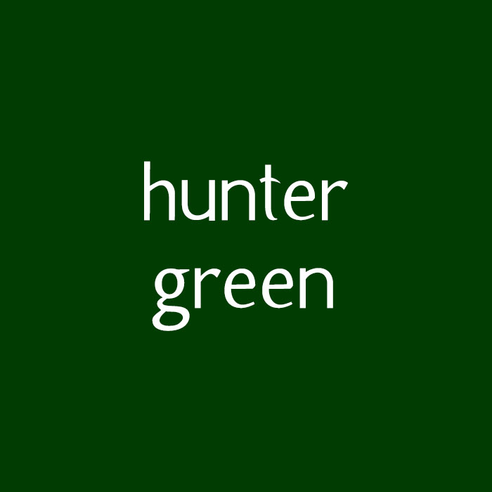 Solid Hunter Green Fleece Fabric Swatch