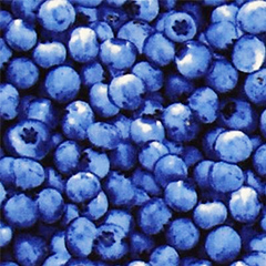 Blueberries