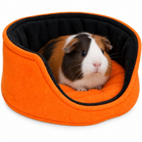 Comfy Cozy 