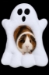 Ghost Bed - GHOSTBED