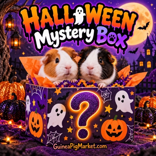 Halloween Mystery Box 