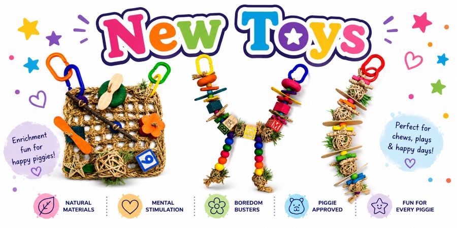 New Toys!