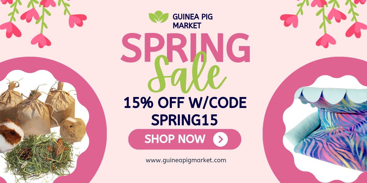 Spring Fling Sale on the Market for guinea pig fun accessories and bedding